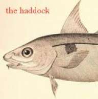 bert haddock