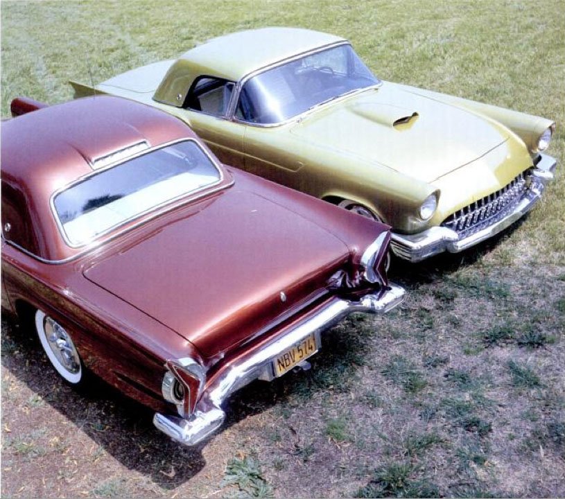 57 thunderbird mystery forest 57 thunderbird mystery forest