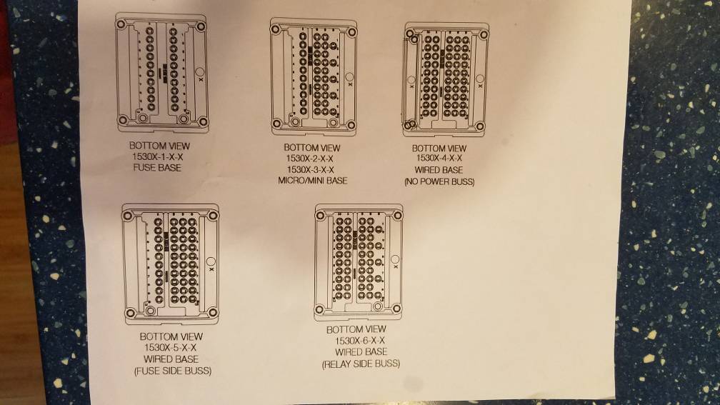 20190202_175418.jpeg