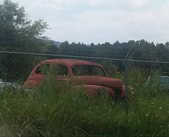 20220402_202609.jpeg