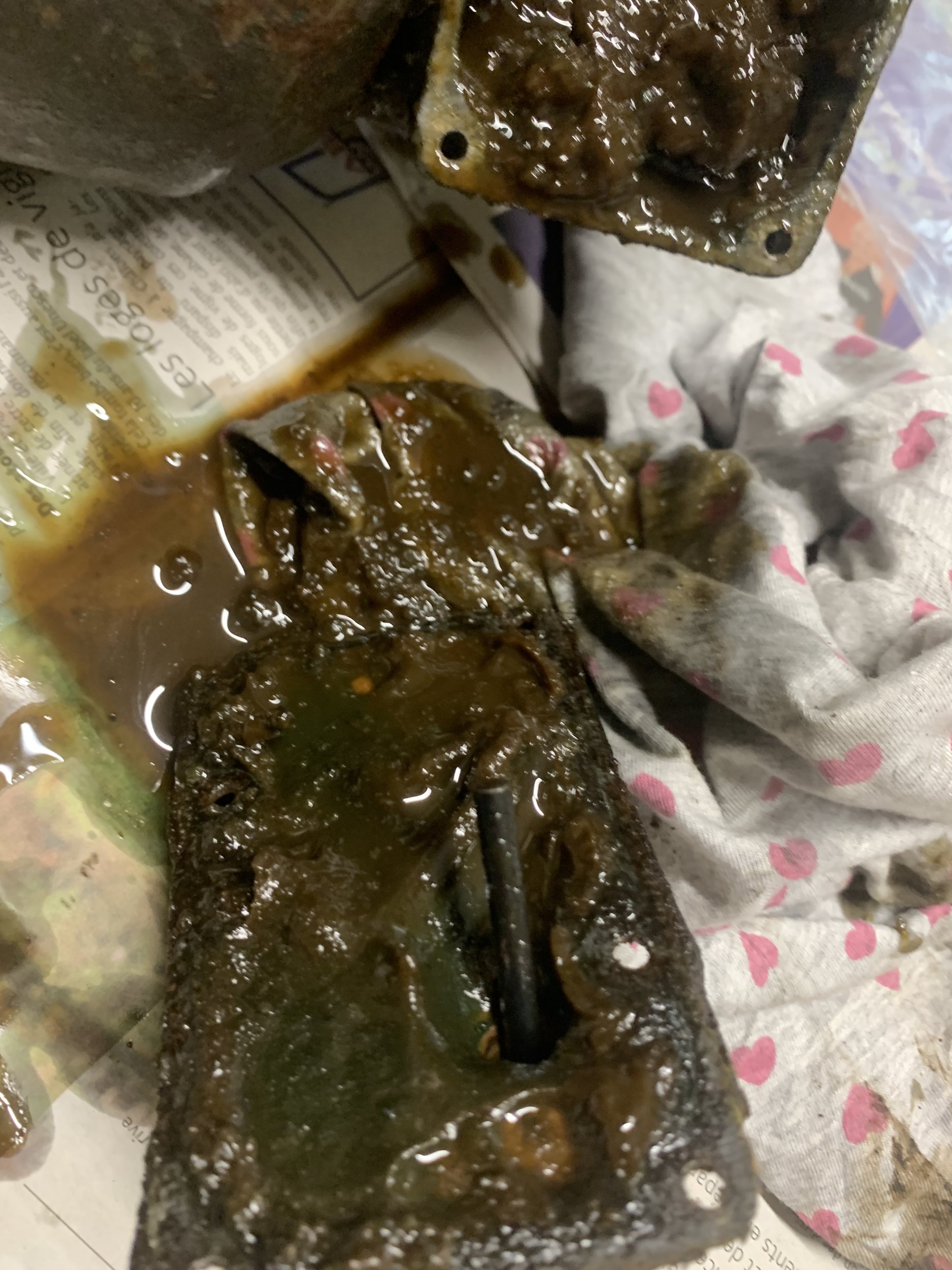 IMG_3904.jpeg