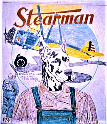 stearman.jpg