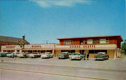 Wilson\'s Cheese Shoppe, Pinconning, Michigan, 1950s postcard.JPG