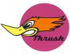 thrush.jpg