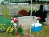 DSC01019.jpg