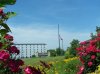 100_8098.jpg