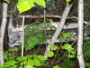 DSCN0190.JPG