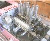 Pink Lady 134.jpg