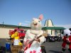 DSC02109.JPG