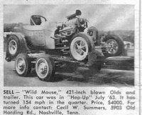 Wild Mouse.jpg