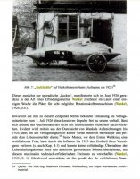Wankel Teufelskäfer (1).jpg