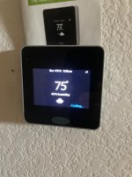 IMG_1313.jpg