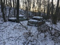 IMG_0157.jpeg