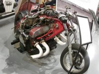 IMG_3863.jpeg