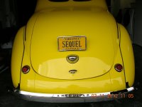 Yellow 41 11.jpg