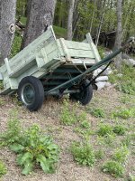 IMG_8304.JPEG