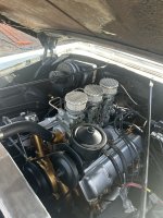IMG_7352.jpeg