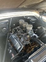 IMG_7353.jpeg