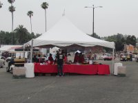IMG_5075.JPG