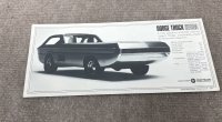 IMG_4458.jpeg