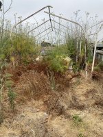 IMG_1440.jpeg