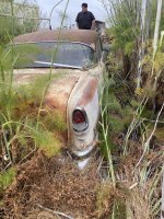 IMG_1442.jpeg
