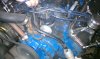 IMAG0577.jpg