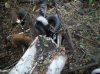 100_8961.jpg