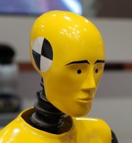 Crash Test Dummy