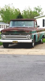 Friedgreentowmater