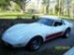 75Stingray