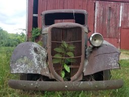 Haven Hills Auto Club