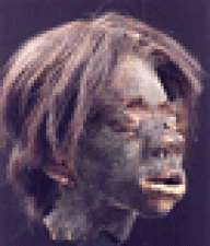 Devin