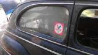 gearhead695456