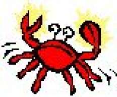 Crab