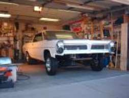 marks73turbota