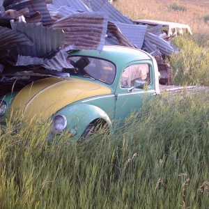frog 20 +yrs under sister in laws tin pile. 36 ford sat next to it but I had brought it back to minnesota a year or two earlier... and before the pile of tin shifted.