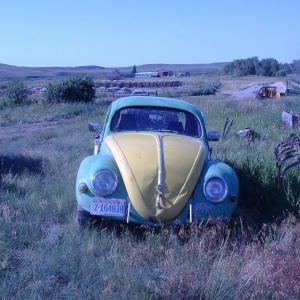 Ranch in Montana: pulled out from under the tin pile. not too much damage - will bring back to minnesota the next year
