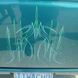 Scratches cover up!