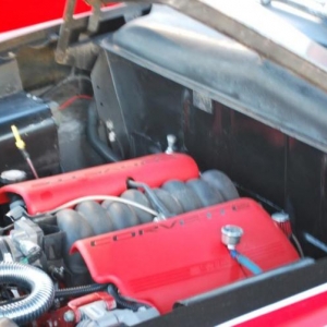 turkey Rod Run 2009 3