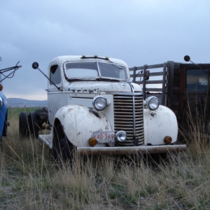 Junk yard