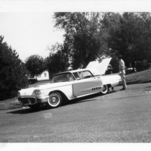 The 'Bird & The Jag