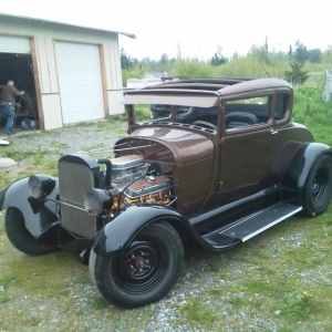 paint & fenders