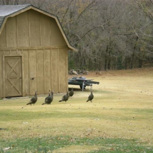 DSCN2392 (Small)