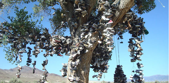 Stopping at the Shoe Tree…