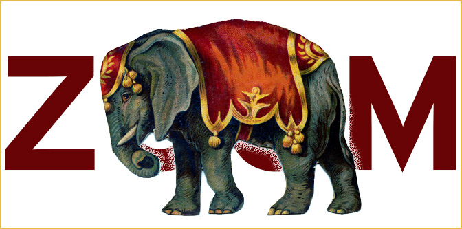 The Elephant On The Zoom